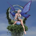 Fairy